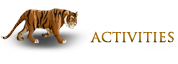 TigersQuest