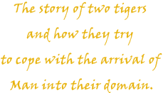 Tigers' Quest
